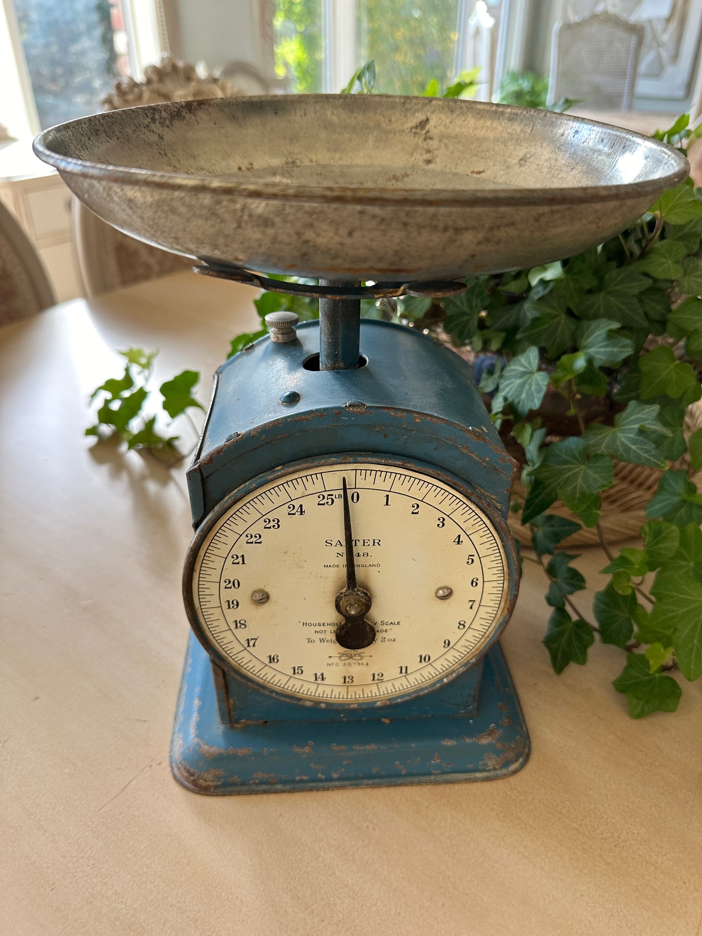 Salter No 48 Household Scale