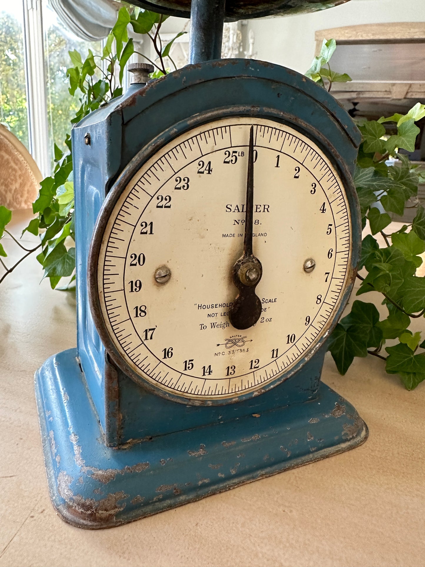 Salter No 48 Household Scale