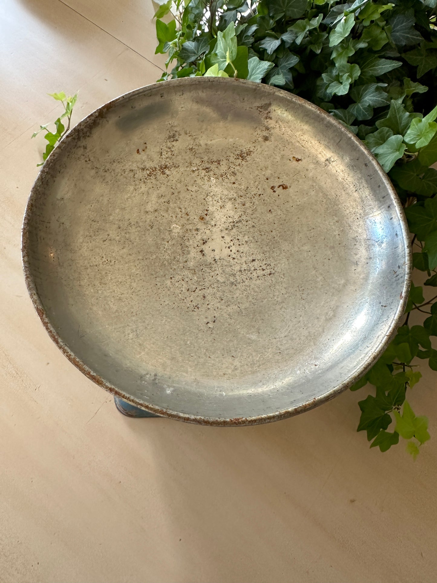 Salter No 48 Household Scale