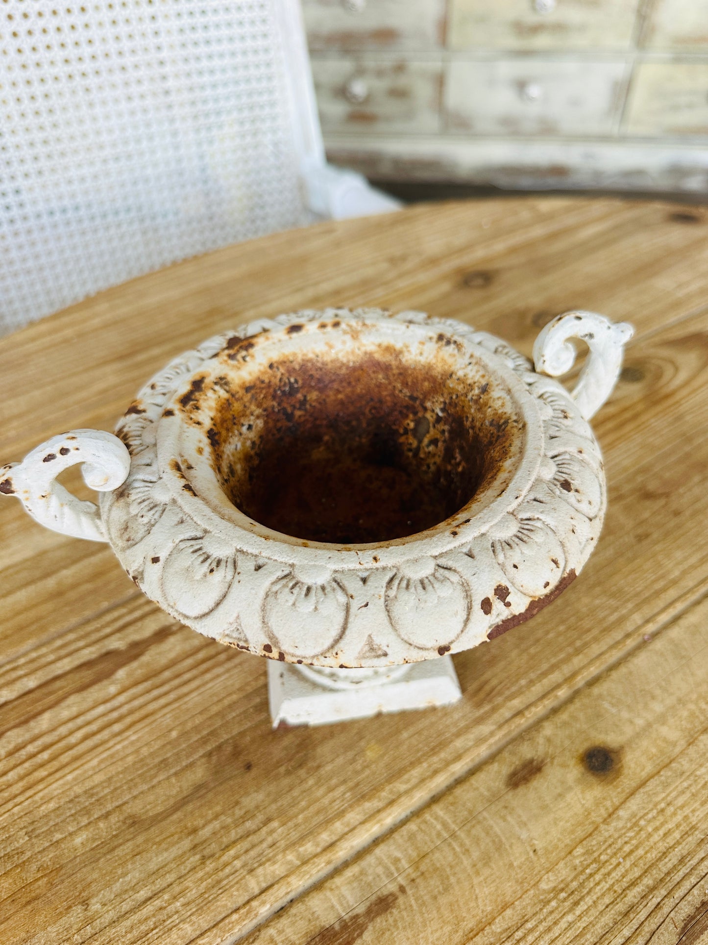 Cast Iron Planter Decor