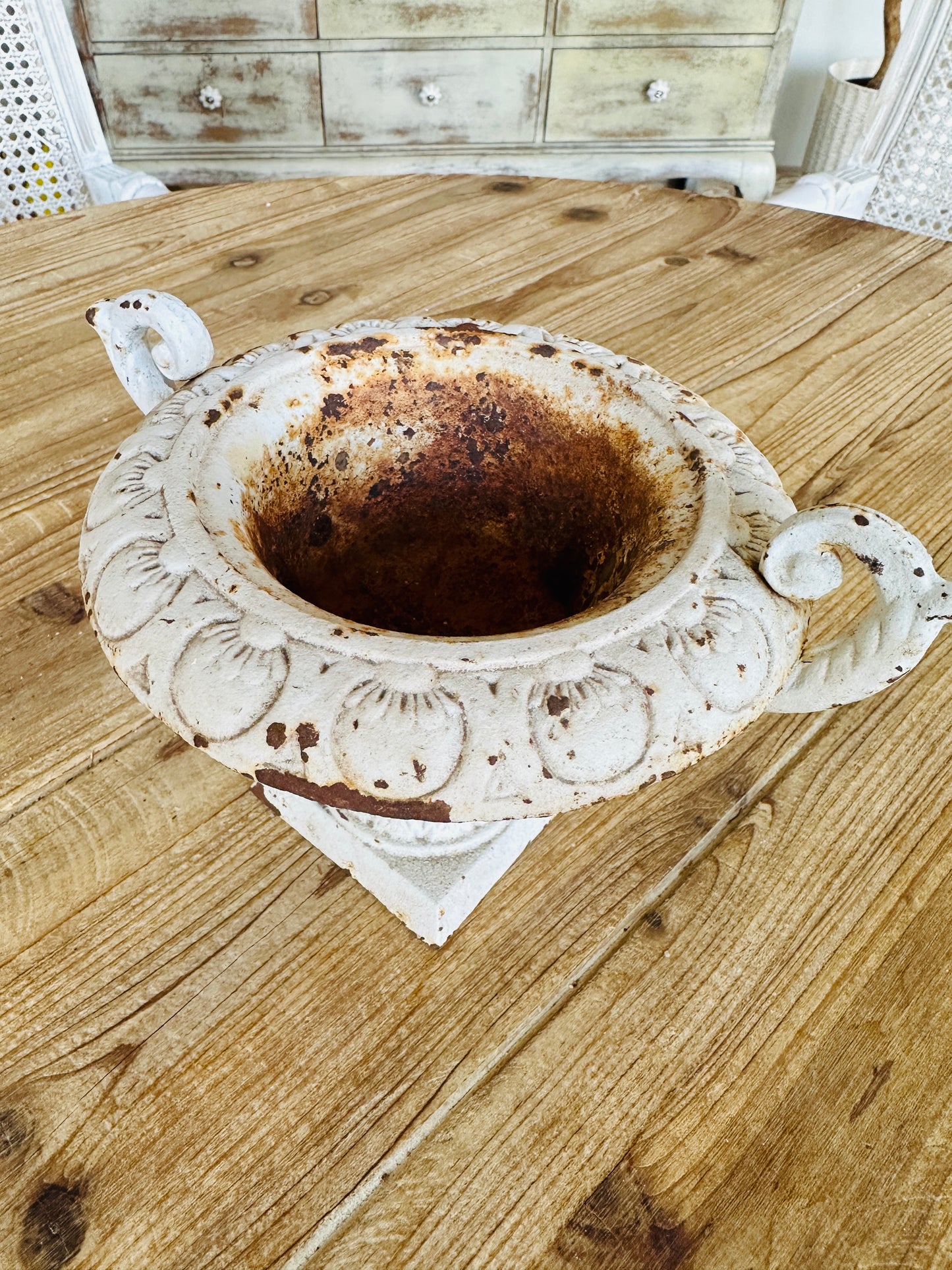Cast Iron Planter Decor