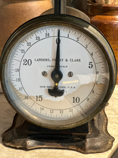 Vintage Landers, Frary & Clark Family Scale