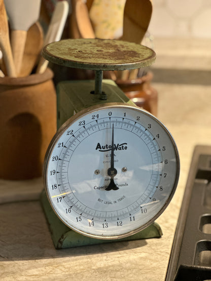 Vintage AutoWate Household Scale