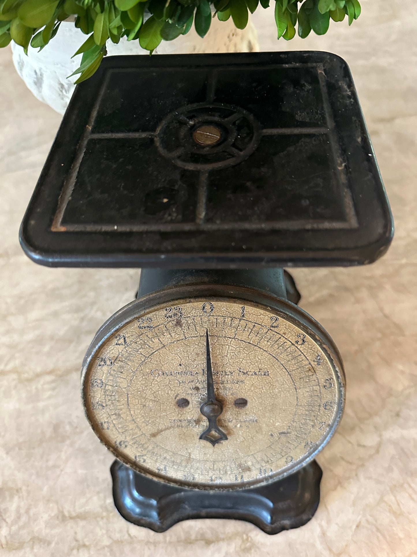 Vintage Columbia Family Scale