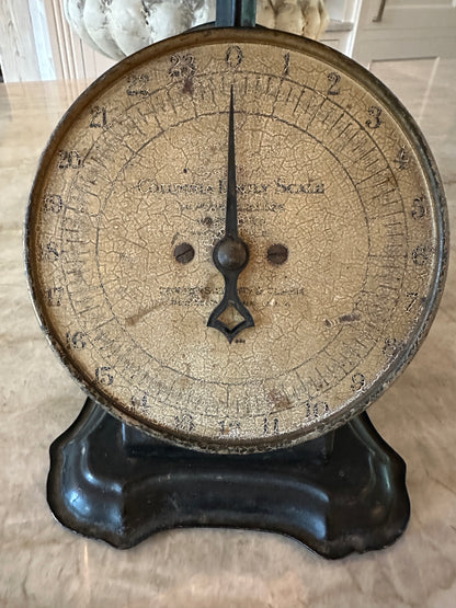 Vintage Columbia Family Scale