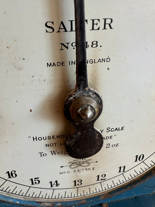 Salter No 48 Household Scale