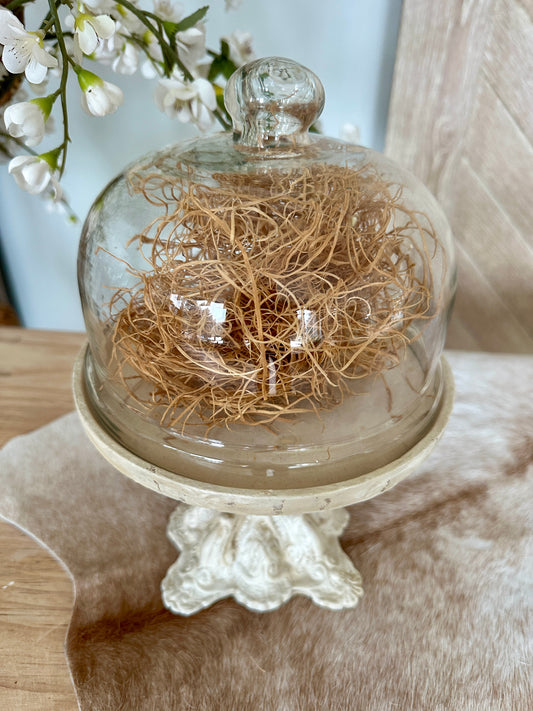 Stemmed Pastry Stand with Glass Cover