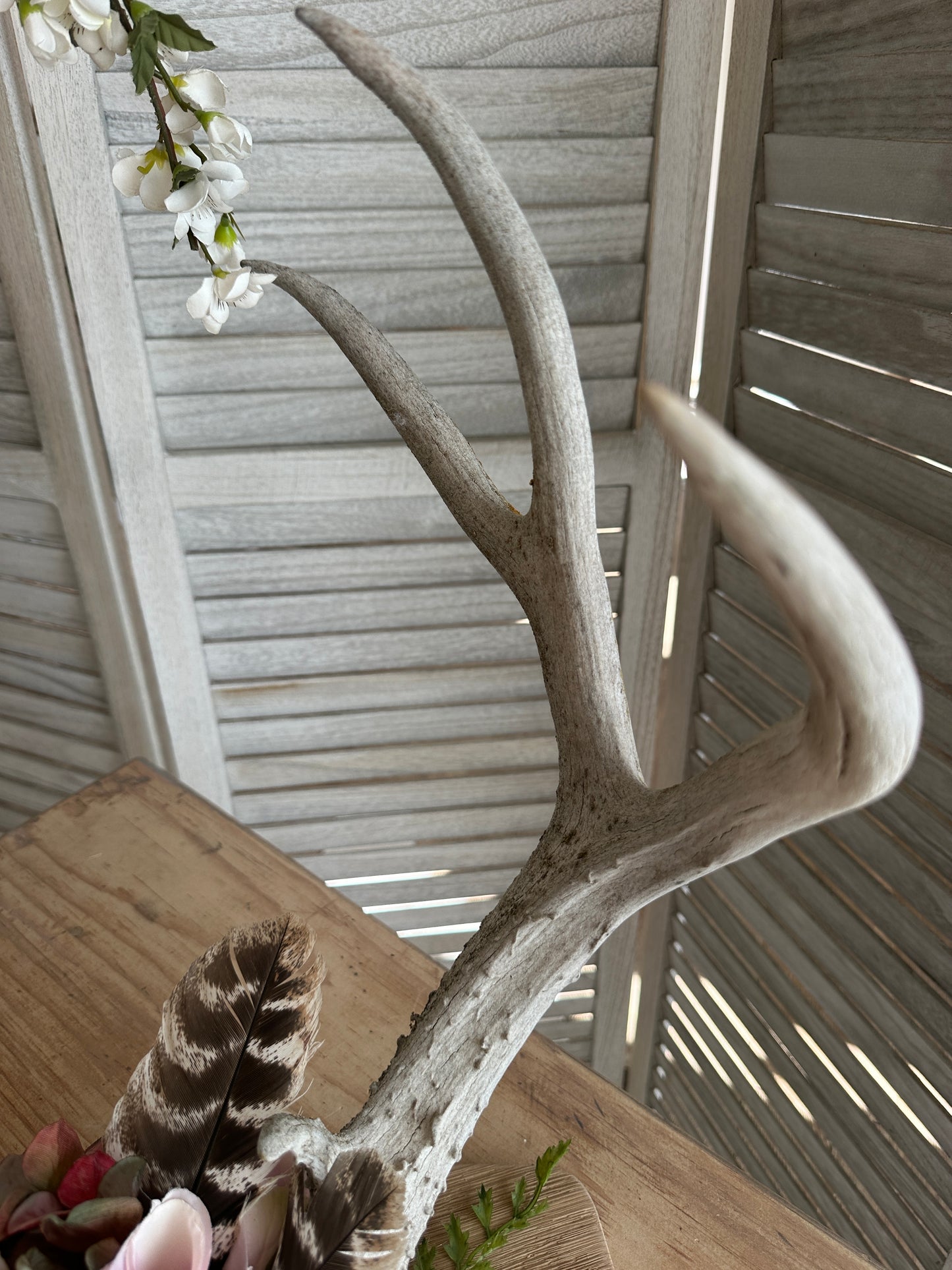 Floral Decorated Antlers